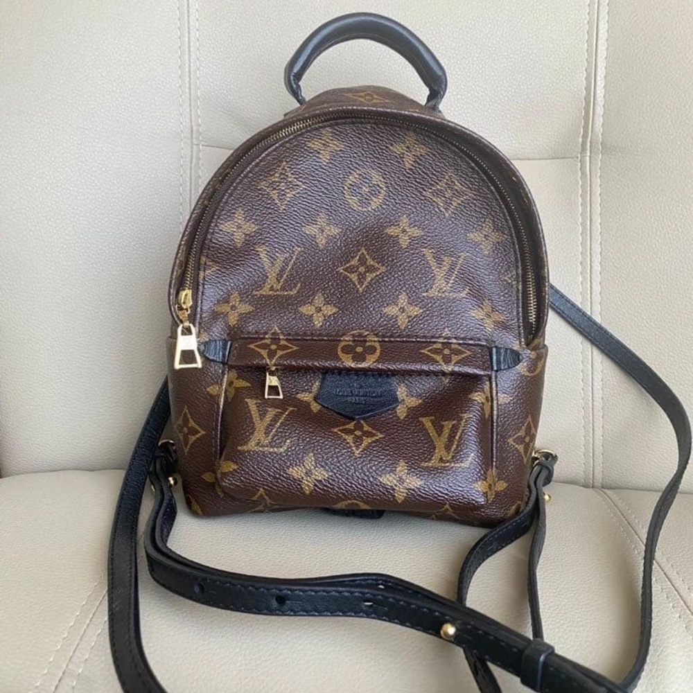 Louis Vuitton monogram Palm Springs mini Backpack Brown and Black